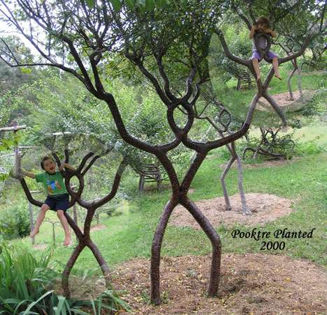 Shangrala's Fantasy Trees