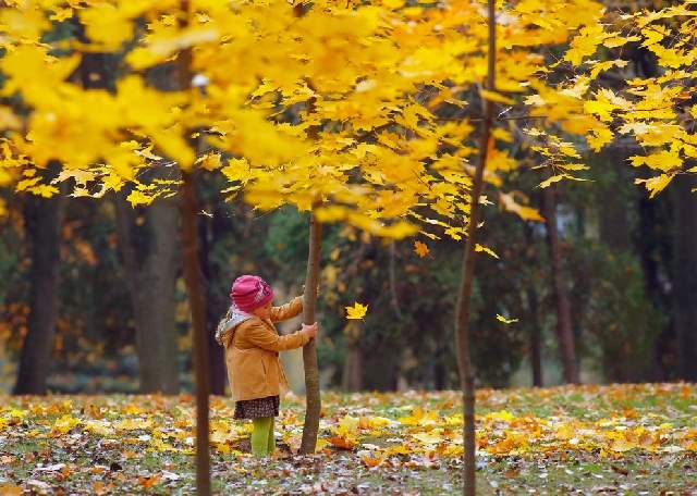 Shangrala's Autumn Around The World