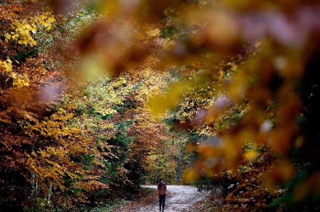 Shangrala's Autumn Around The World