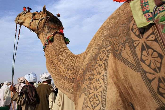 Shangrala's Camel Hair Art