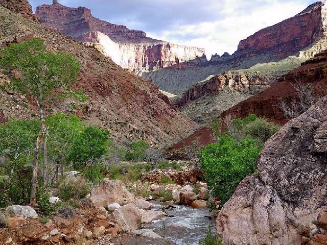 Shangrala's Beautiful Grand Canyon