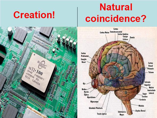 Shangrala's Creation VS Coincidence