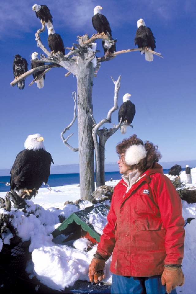 Shangrala's Feeding The Eagles