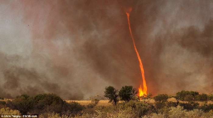 Shangrala's Australian Fire Tornado