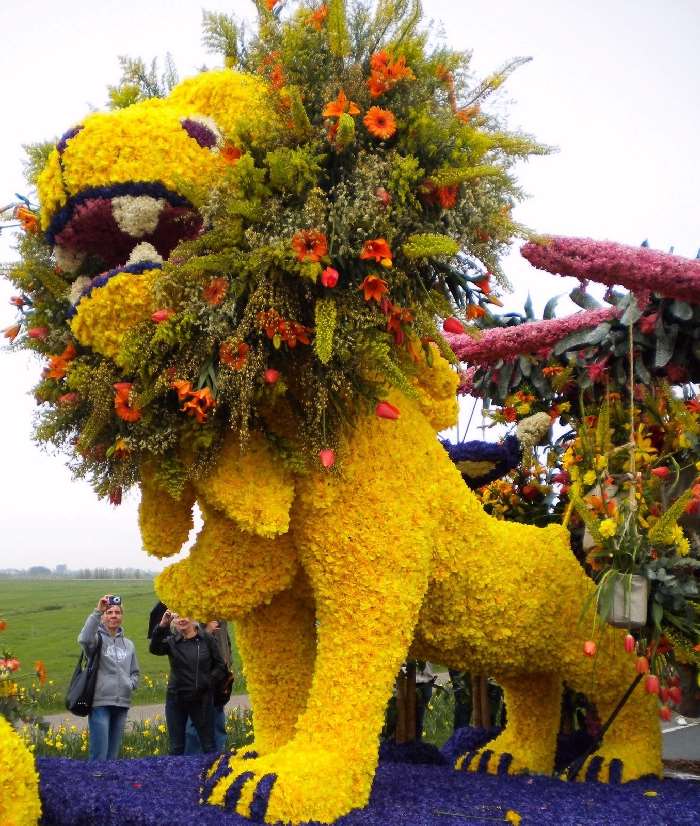 Shangrala's Holland Parade Of Flowers