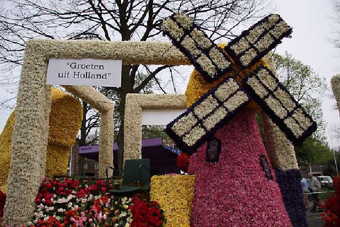 Shangrala's Holland Parade Of Flowers