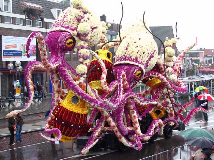 Shangrala's Holland Parade Of Flowers