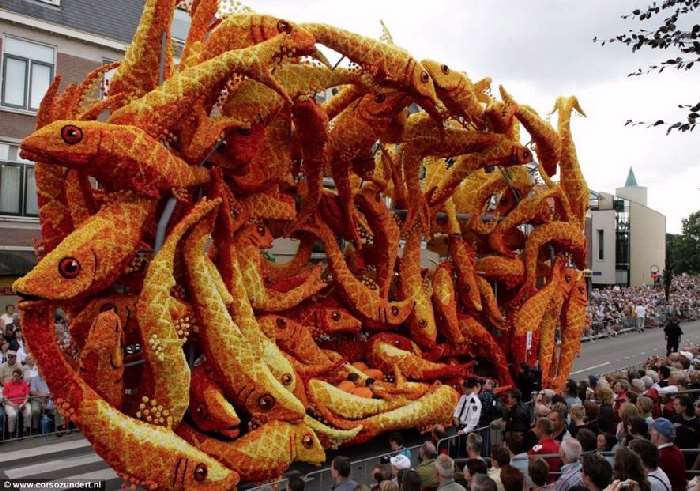 Shangrala's Holland Parade Of Flowers