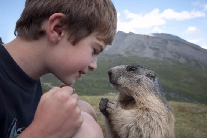 Shangrala's Matteo And The Marmots