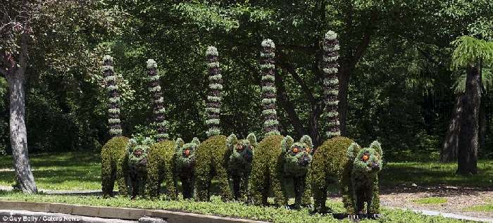 Shangrala's Montreal Mosaicultures Show