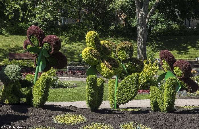 Shangrala's Montreal Mosaicultures Show