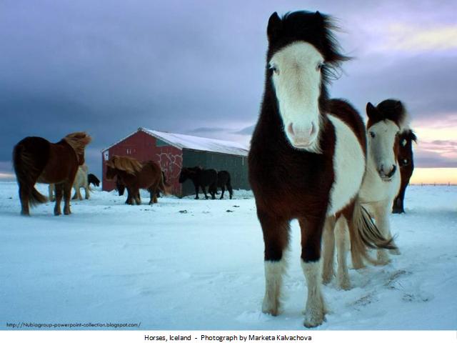 Shangrala's Best Of National Geographic 2012