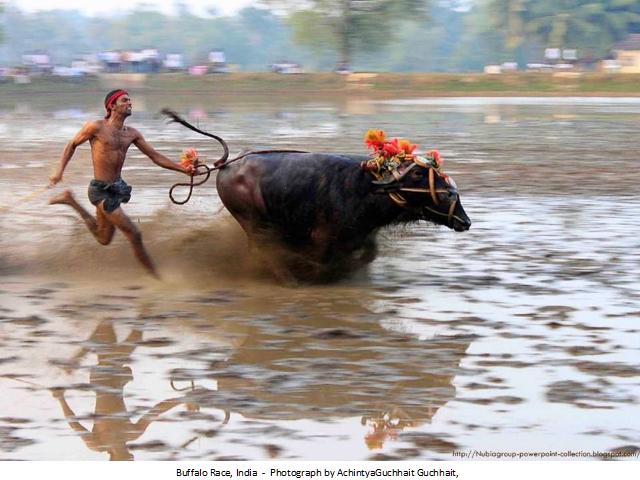 Shangrala's Best Of National Geographic 2012