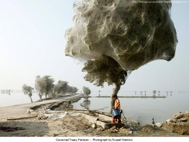 Shangrala's Best Of National Geographic 2012