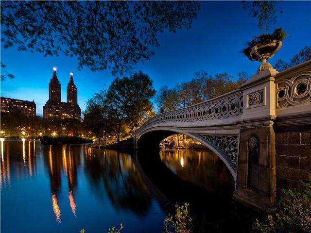 Shangrala's New York At Night