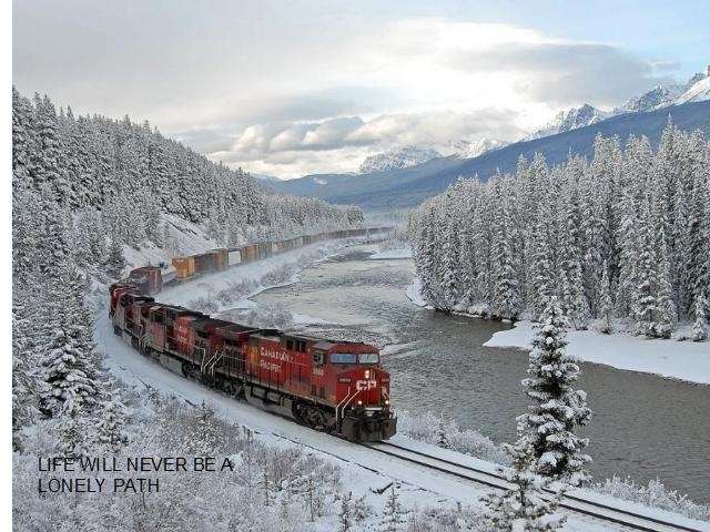 Shangrala's New Year Train