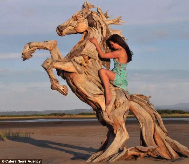 Shangrala's Driftwood Art