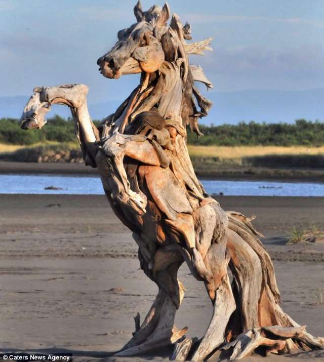 Shangrala's Driftwood Art