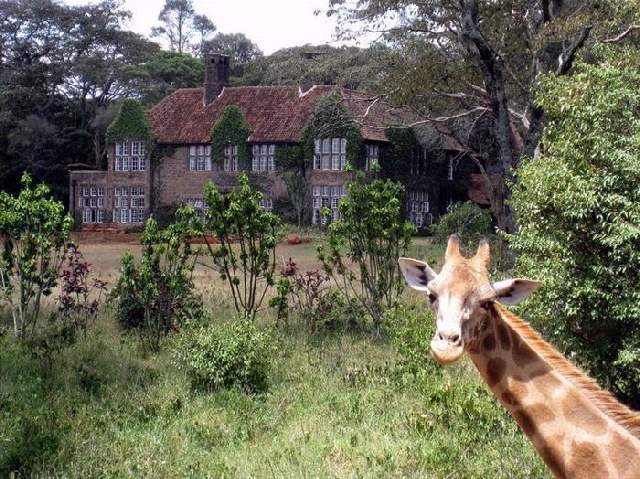 Shangrala's Giraffe Manor