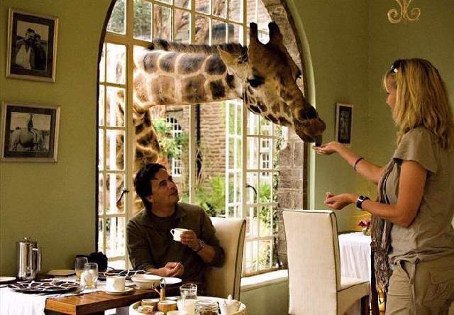 Shangrala's Giraffe Manor