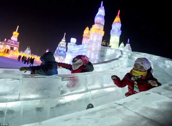 Shangrala's Ice Sculpture Art 3