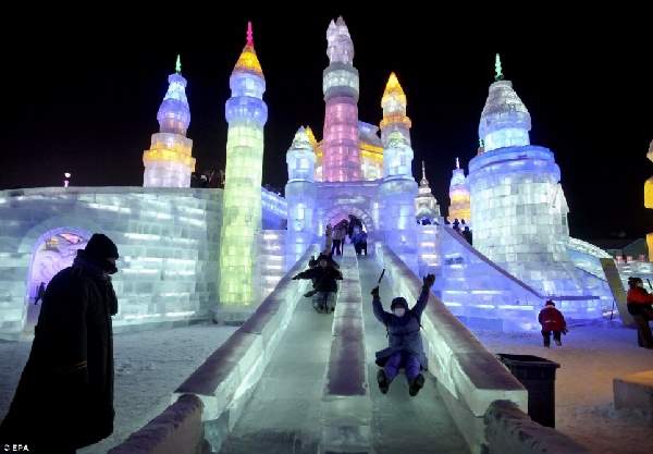 Shangrala's Ice Sculpture Art 3