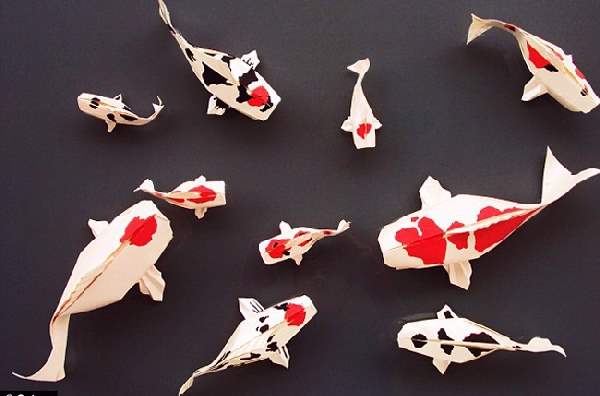 Shangrala's Origami Animal Art