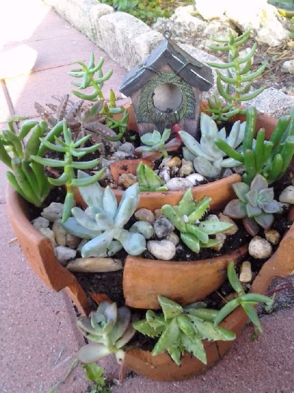 Shangrala's Fairy Garden Pot Art