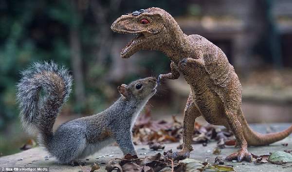 Shangrala's World Of Squirrels 2