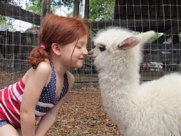 Shangrala's Kids With Animals