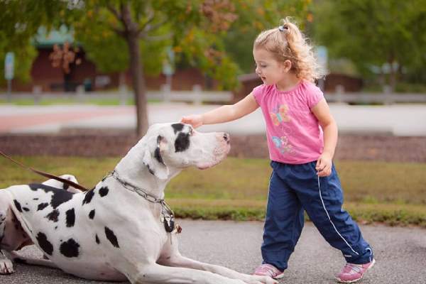 Shangrala's Kids With Animals 2