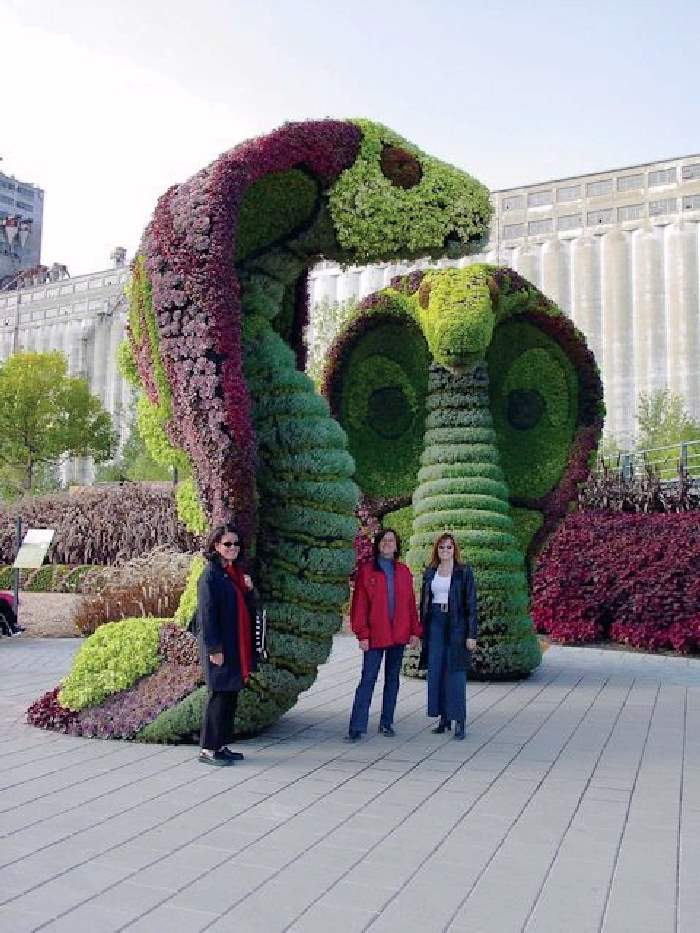 Shangrala's Montreal Mosaicultures Show