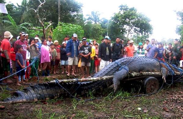 Shangrala's World's Largest Animals