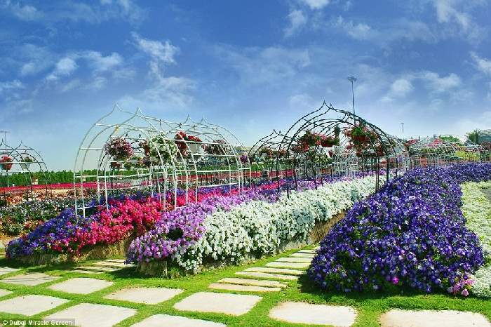 Shangrala's Dubai Miracle Garden