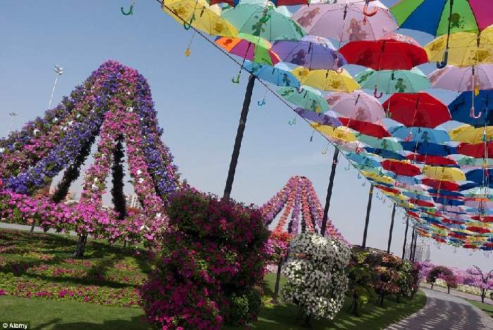 Shangrala's Dubai Miracle Garden