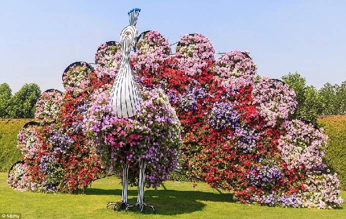 Shangrala's Dubai Miracle Garden