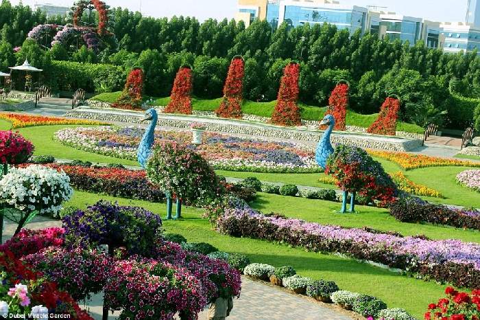 Shangrala's Dubai Miracle Garden