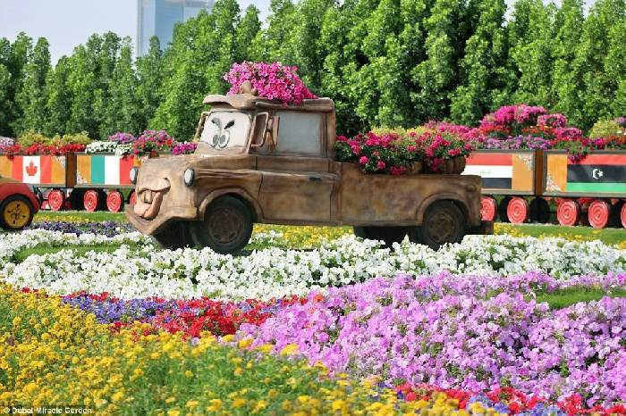 Shangrala's Dubai Miracle Garden