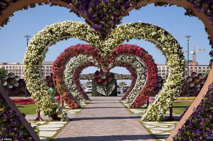 Shangrala's Dubai Miracle Garden