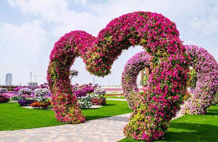 Shangrala's Dubai Miracle Garden