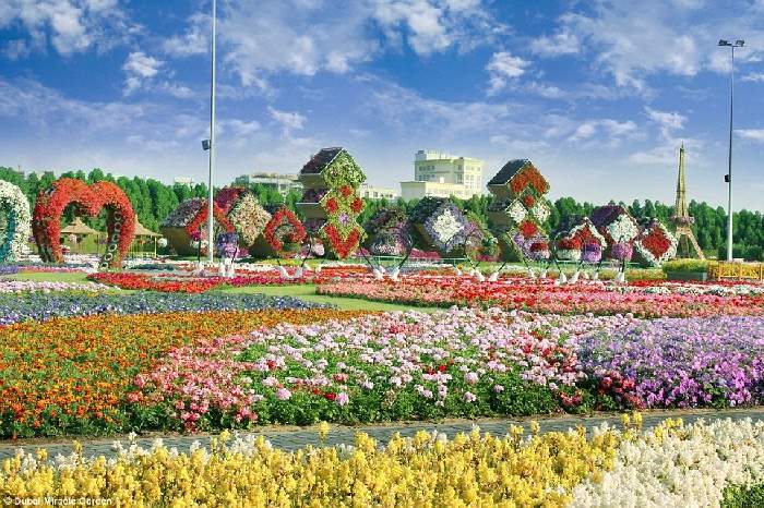 Shangrala's Dubai Miracle Garden