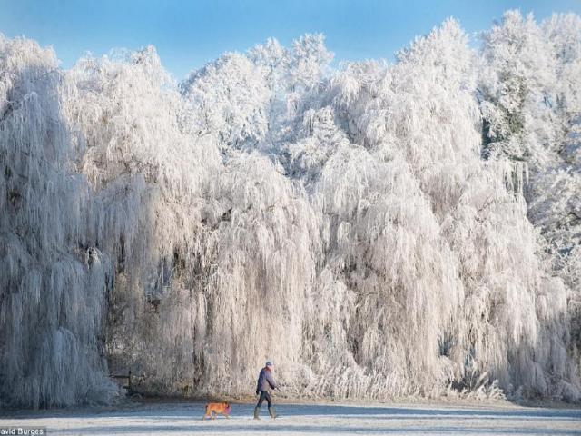 Shangrala's Beautiful Photo Winners 2