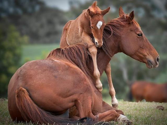 Shangrala's Beautiful Photo Winners 2