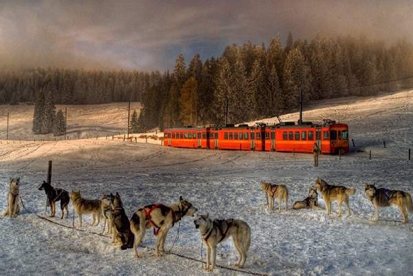 Shangrala's Old Trains And Cars