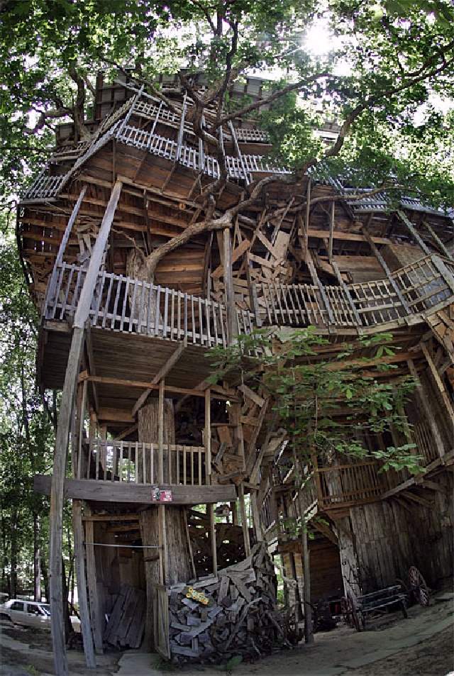 Shangrala's World's Tallest Treehouse