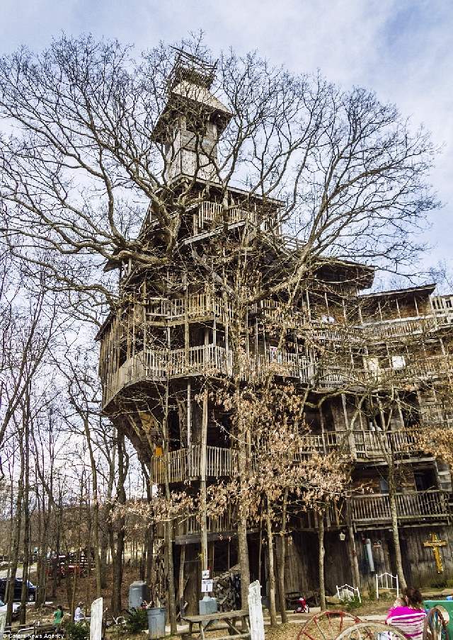 Shangrala's World's Tallest Treehouse