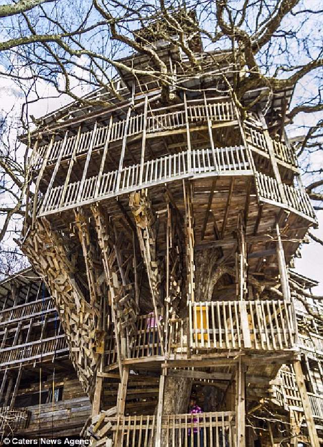 Shangrala's World's Tallest Treehouse