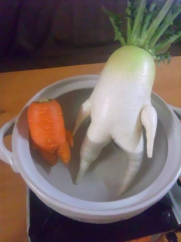 Shangrala's Silly Veggies