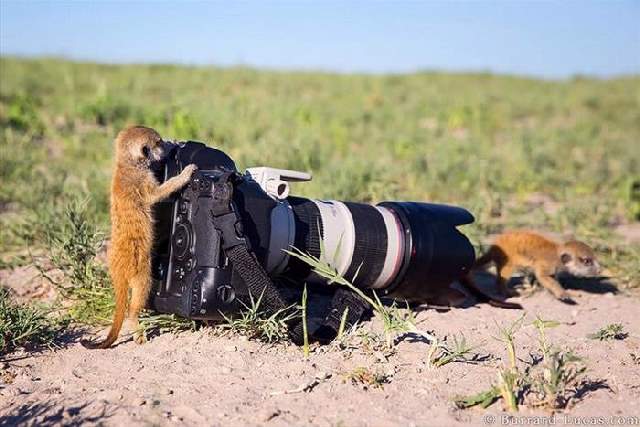 Shangrala's Budding Photographers