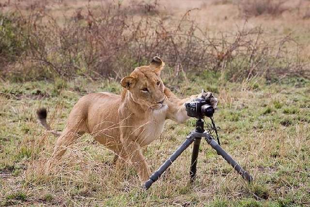 Shangrala's Budding Photographers